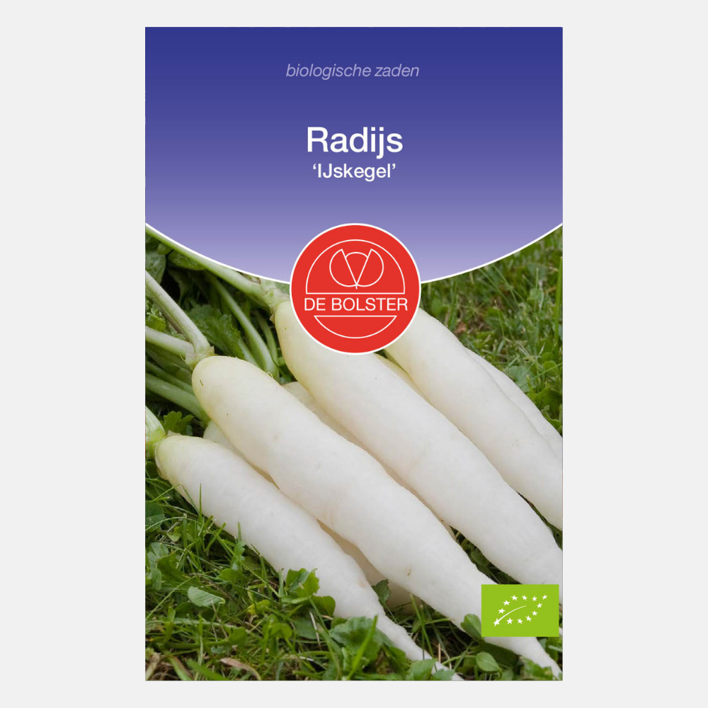 Radis 'Icicle' BIO