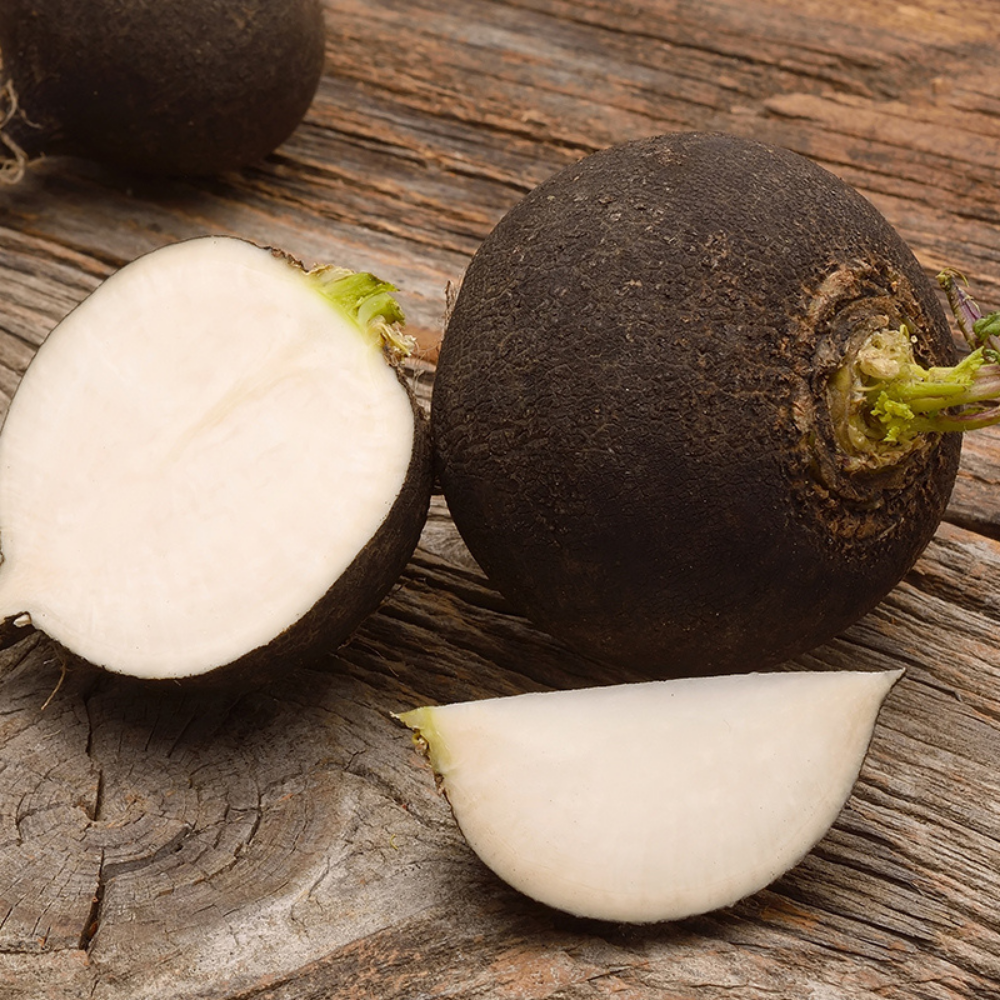 Radish 'Ronde Zwarte' BIO