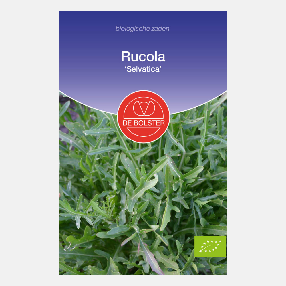 Arugula 'Selvatica' BIO