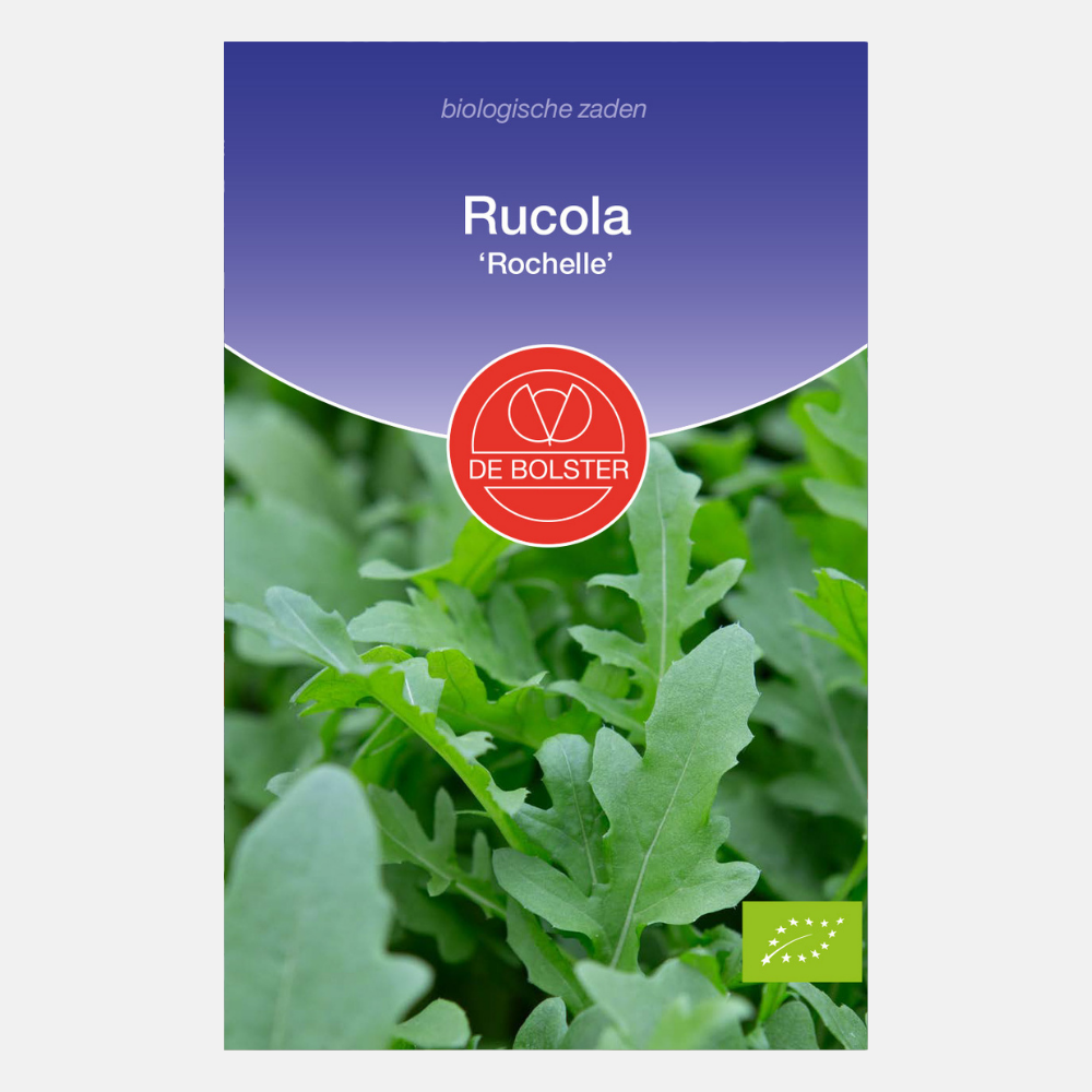 Arugula 'Rochelle' BIO