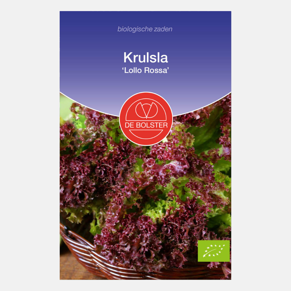 Laitue Frisée 'Lollo Rossa' BIO