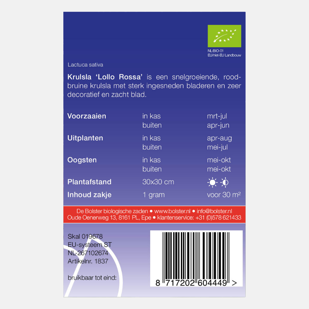 Laitue Frisée 'Lollo Rossa' BIO