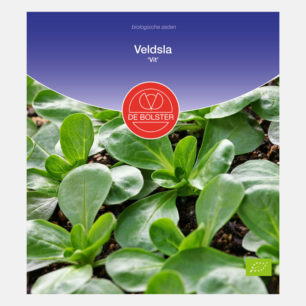 Lamb's lettuce 'Vit' BIO