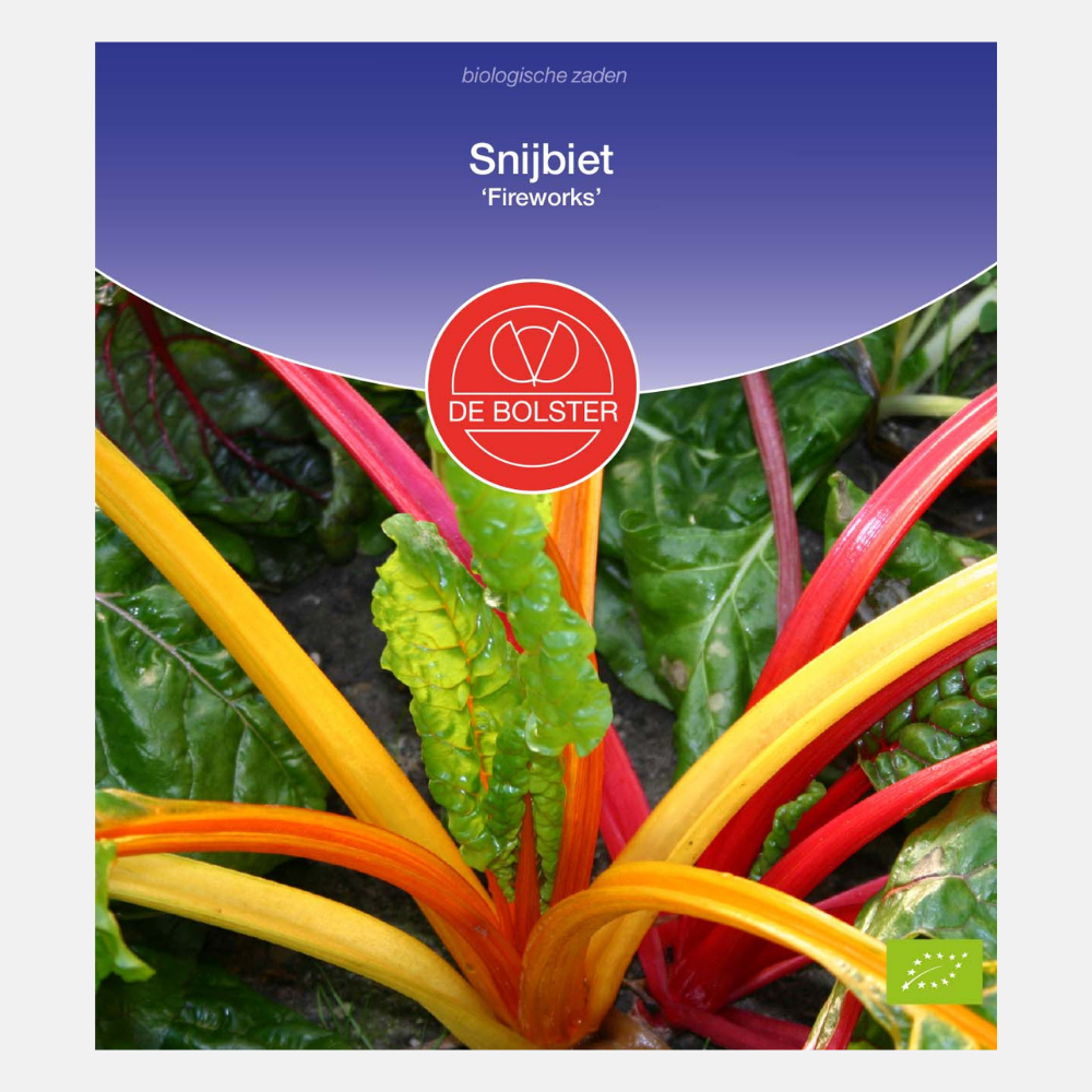 Swiss Chard 'Fireworks' BIO