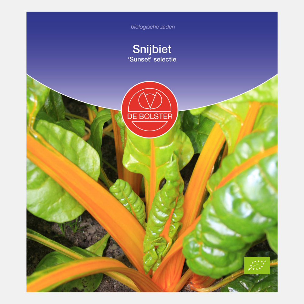 Swiss chard 'Sunset selection' BIO