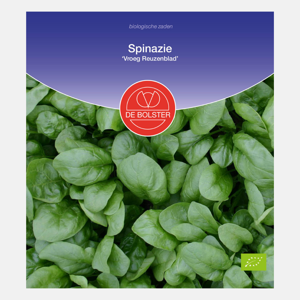 Spinach 'Early Giant Leaf' BIO