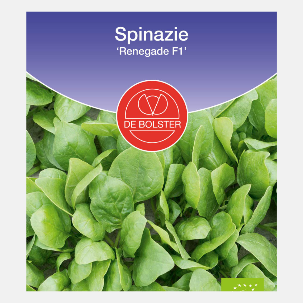 Spinach 'Renegade F1' BIO