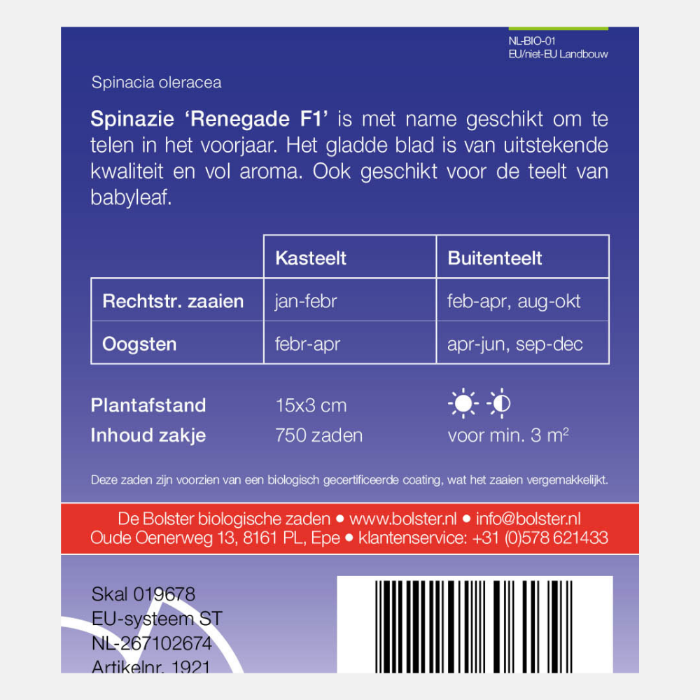 Spinach 'Renegade F1' BIO