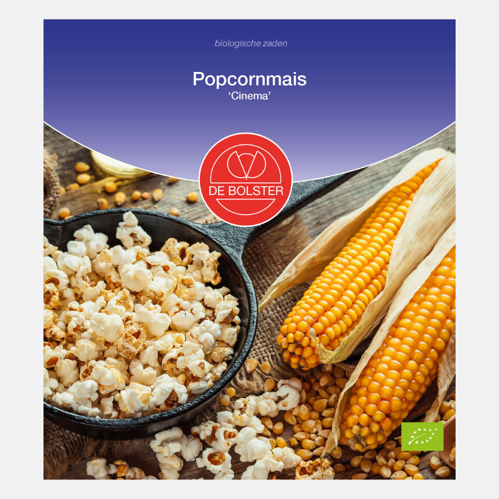 Maïs soufflé 'Cinéma' BIO