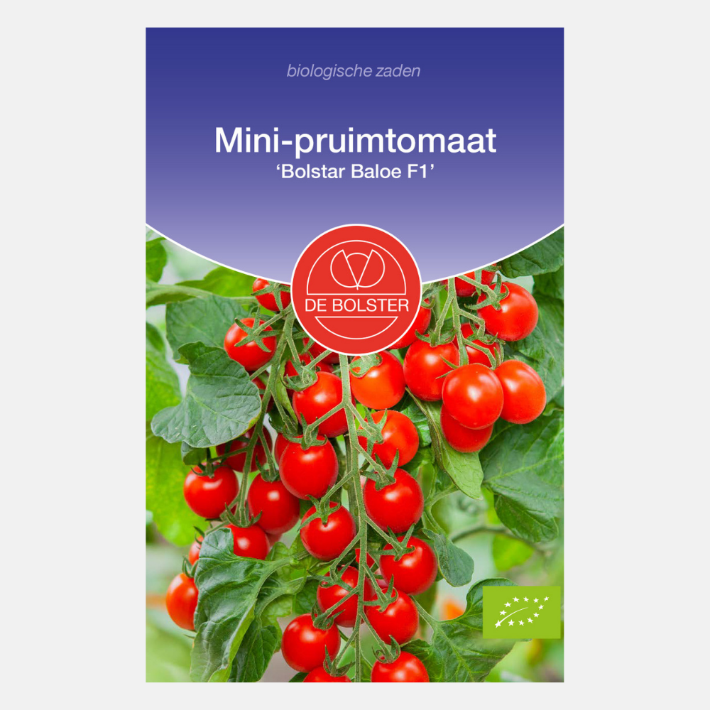 Mini-pruimtomaat 'Bolstar Baloe F1' BIO