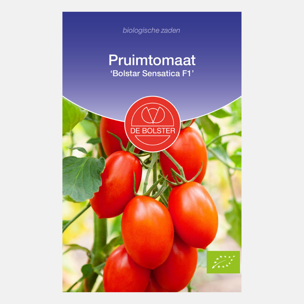 Pruimtomaat 'Bolstar Sensatica F1' BIO