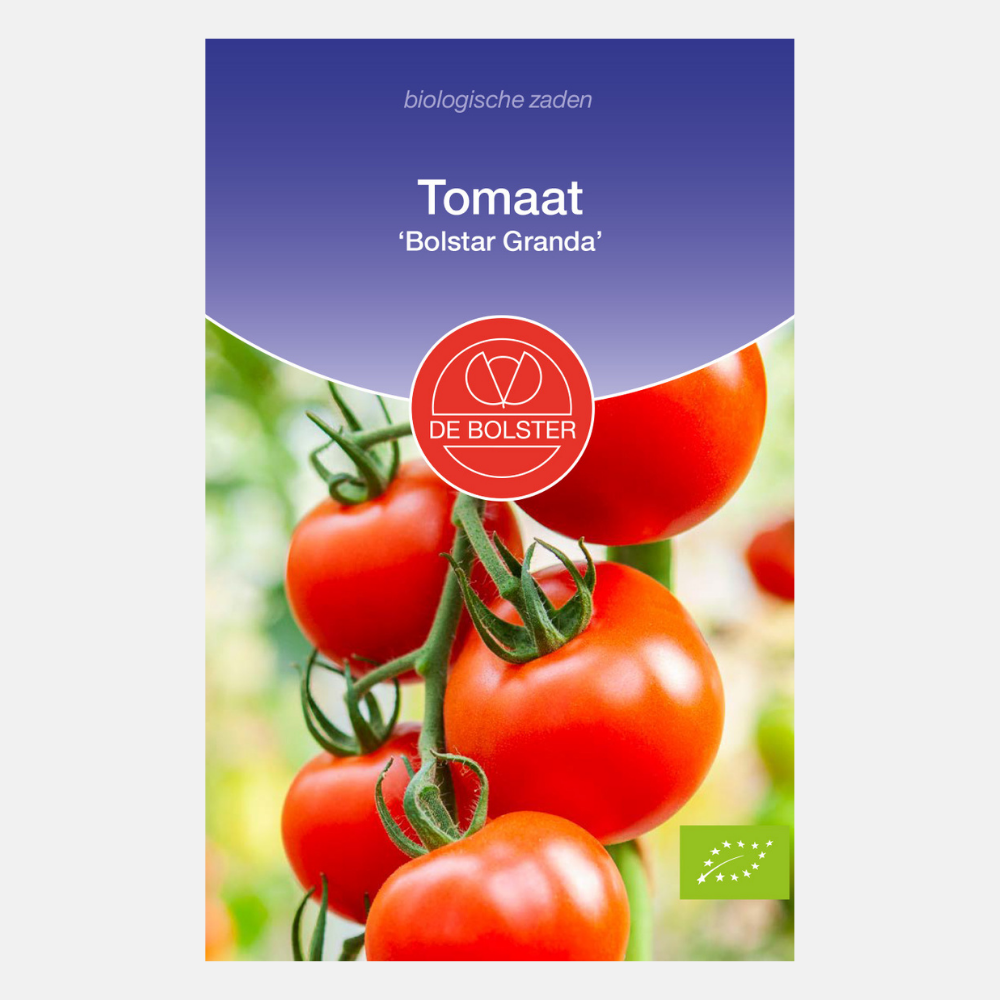 Tomato 'Bolstar Granda' BIO