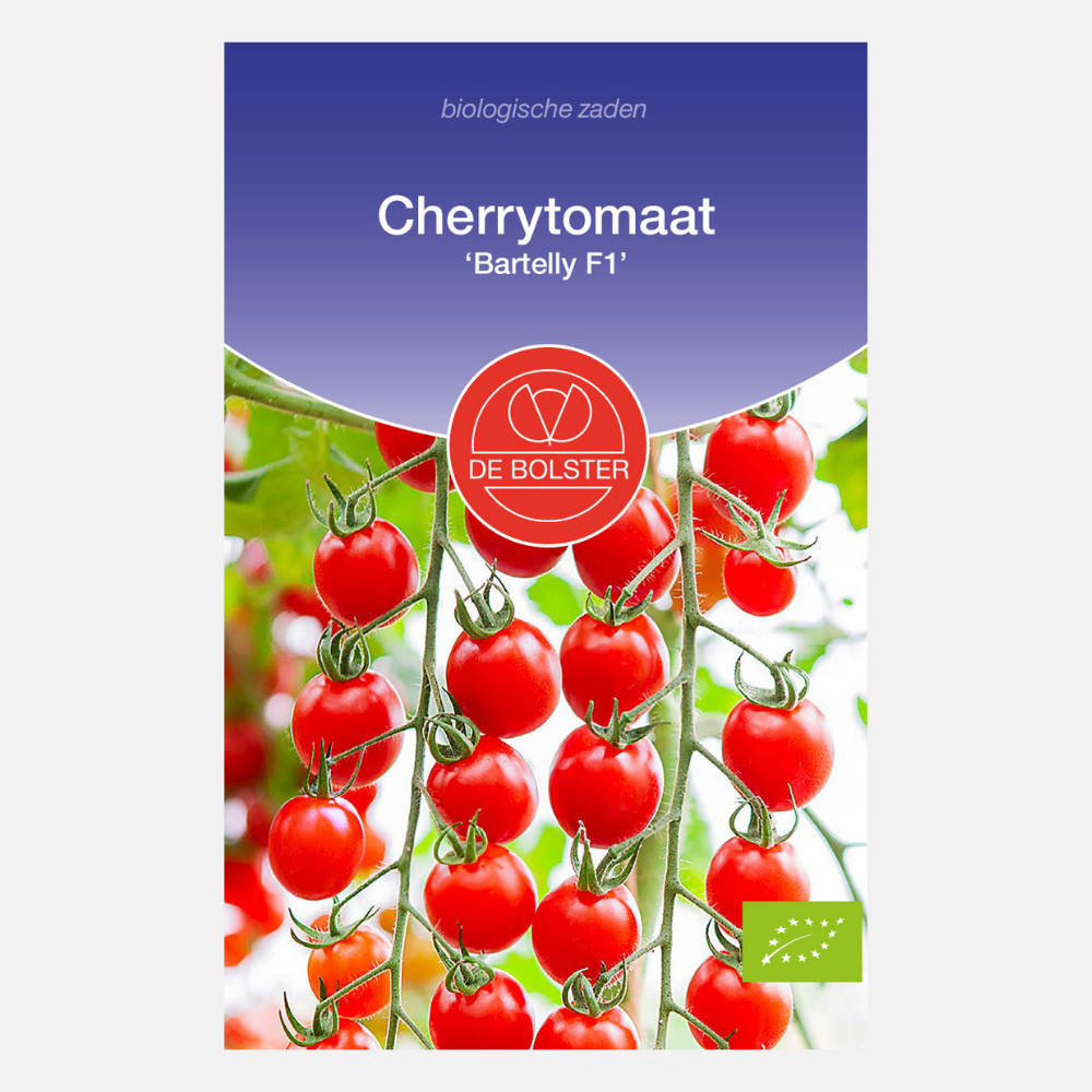Cherry tomato 'Bartelly F1' ORGANIC