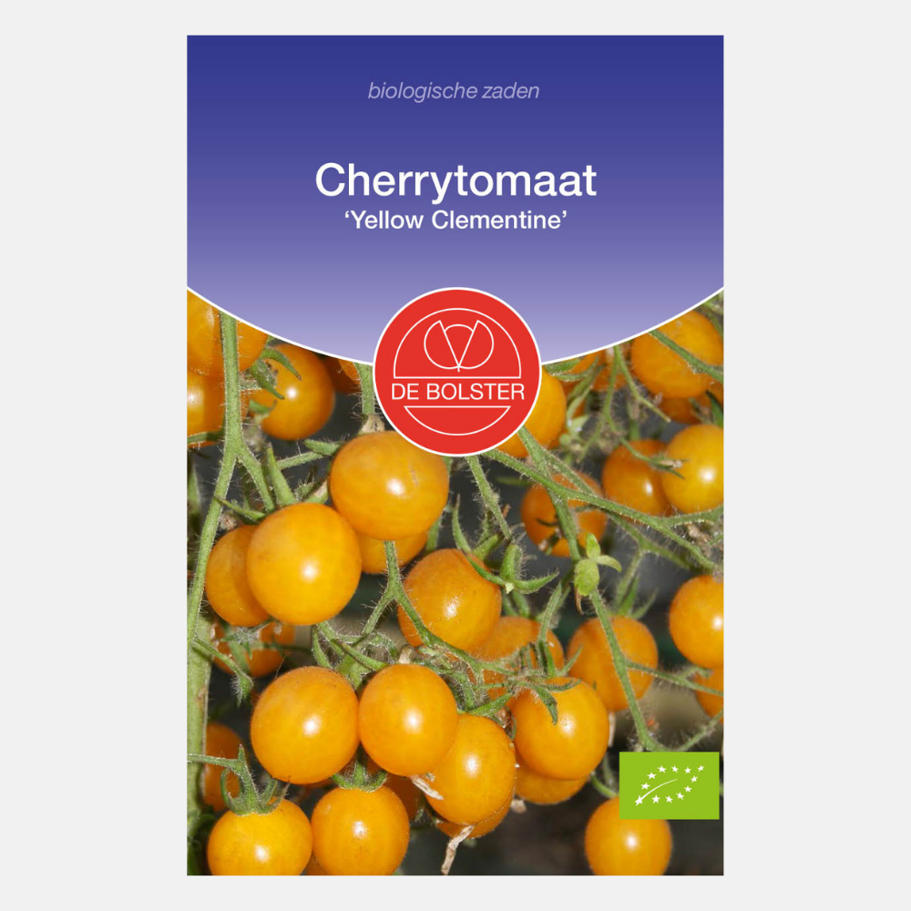 Cherry tomato 'Yellow Clementine' ORGANIC