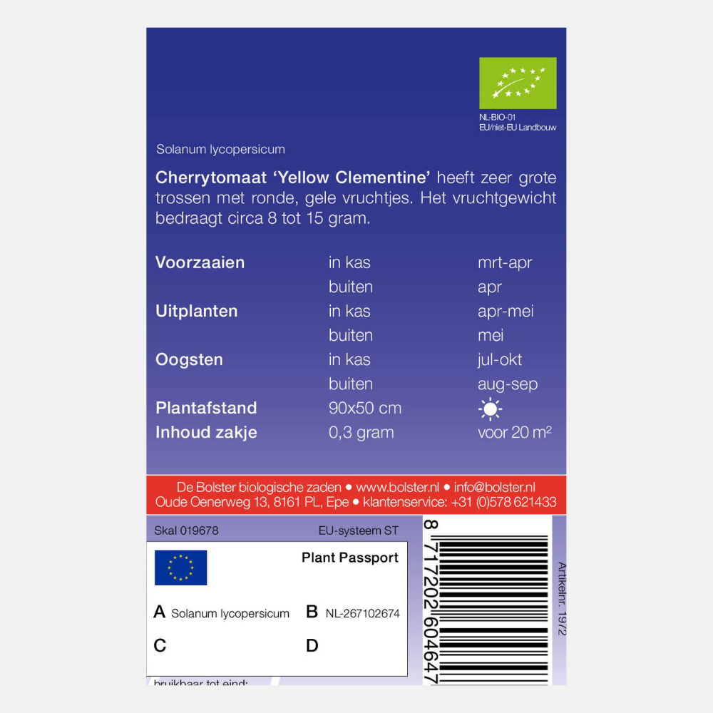 Cherry tomato 'Yellow Clementine' ORGANIC