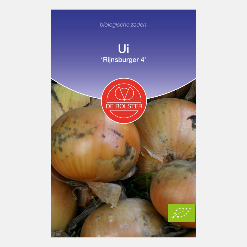 Onion 'Rijnsburger 4' BIO
