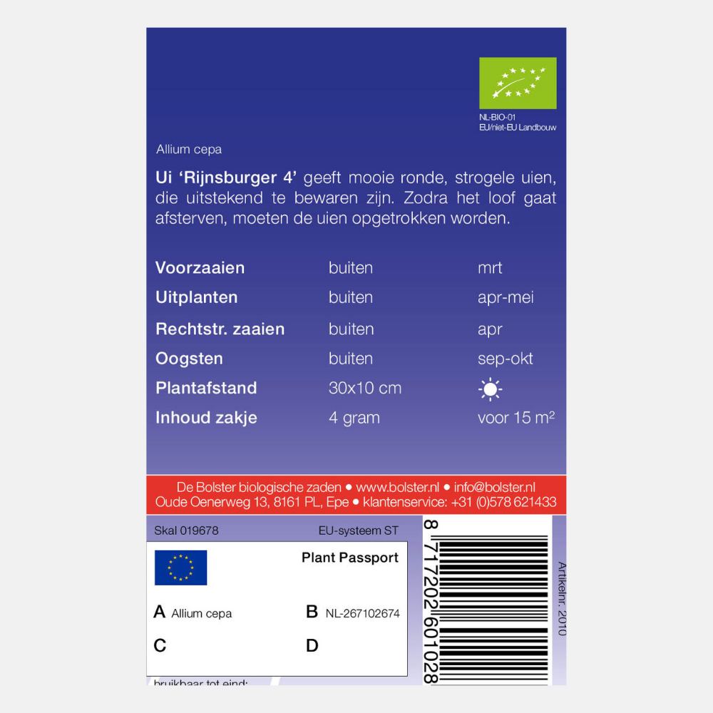 Onion 'Rijnsburger 4' BIO