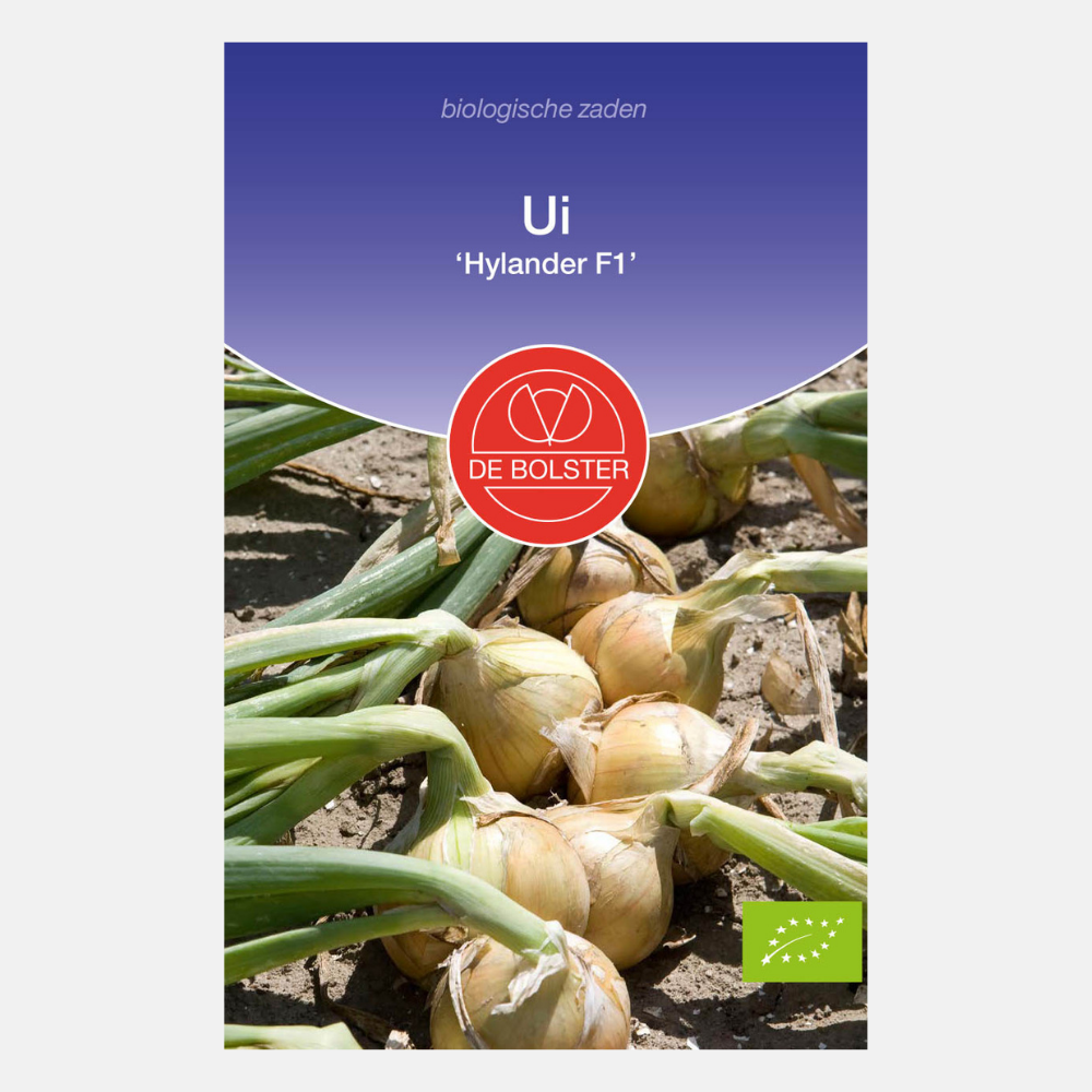 Onion 'Hylander F1' BIO