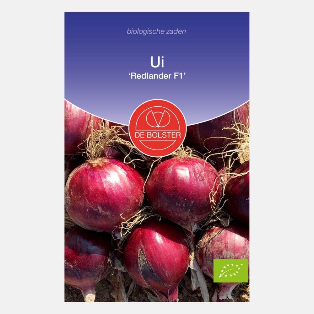 Onion 'Redlander F1' BIO