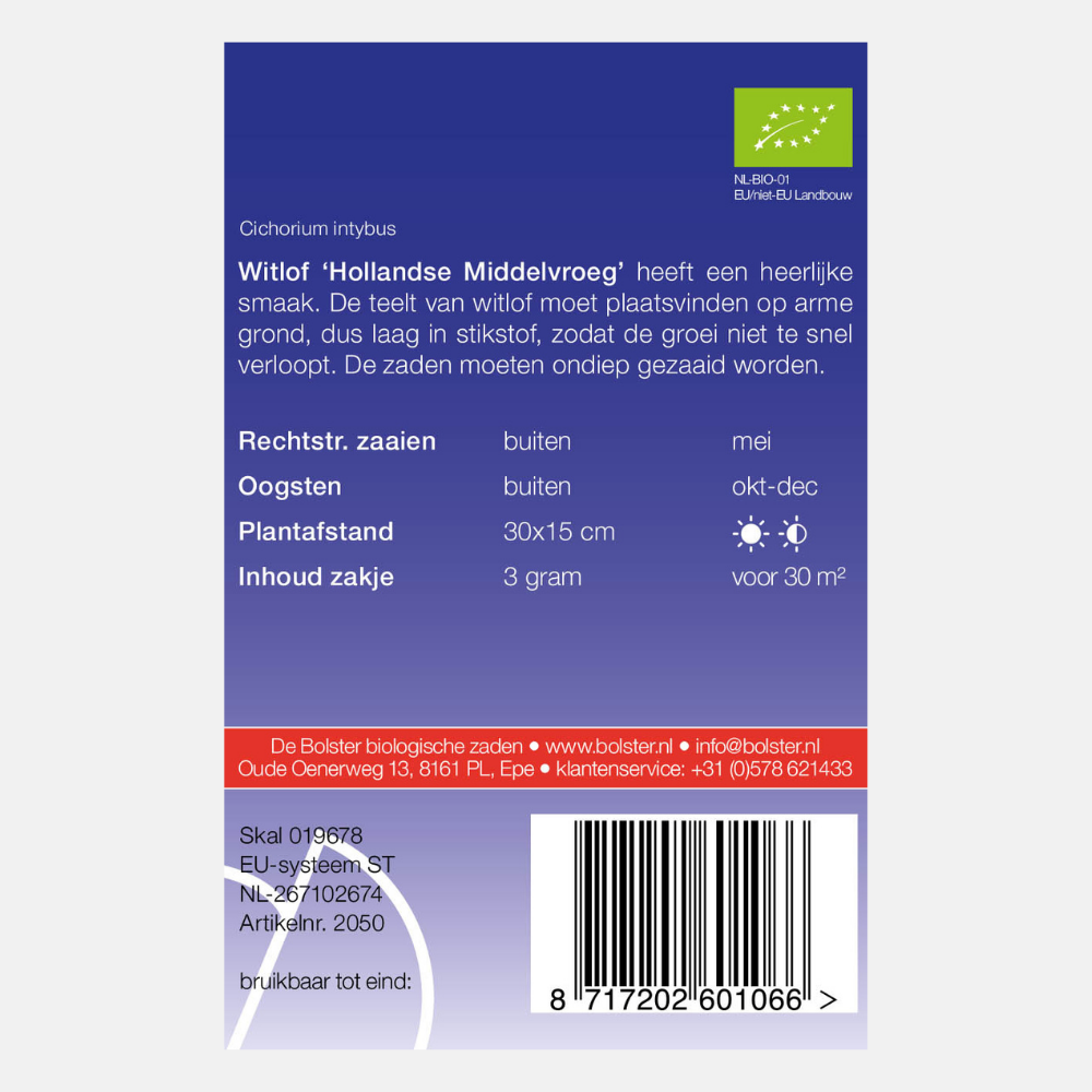 Chicorée 'Dutch Medium Early' BIO