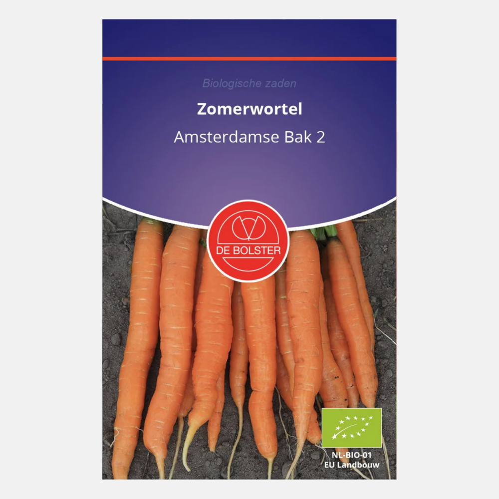 Summer carrot 'Amsterdamse Bak 2' BIO