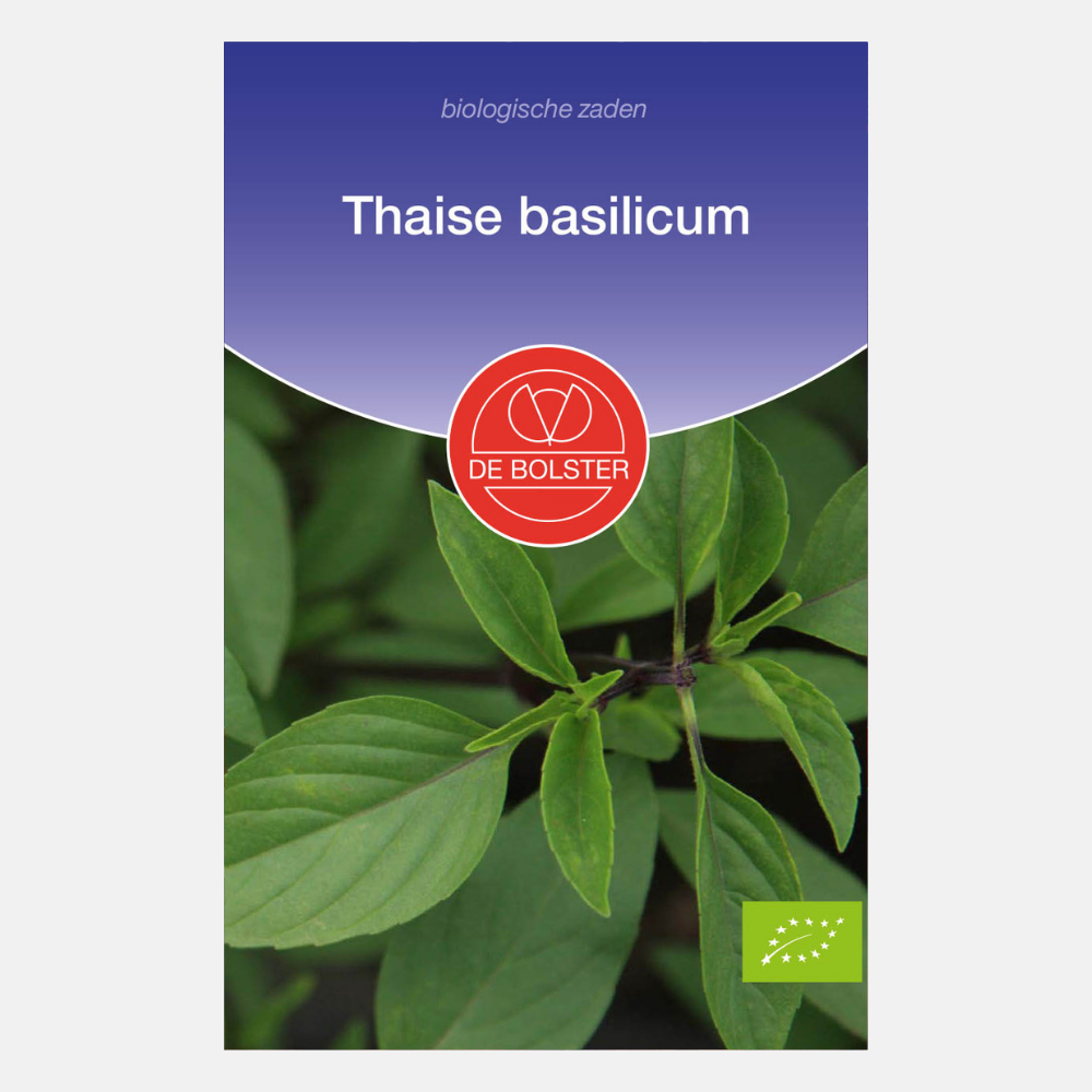 Basilic Thaï BIO