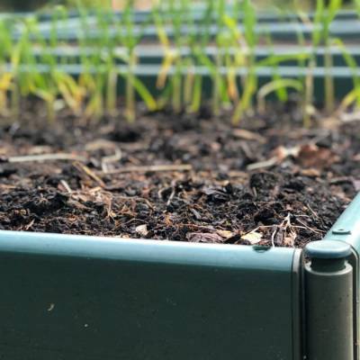 Moestuinbak 25 cm hoog - 1 meter breed (kies lengte) - foto 2