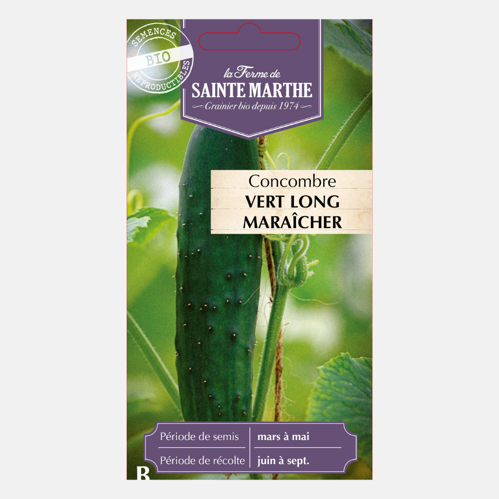 Cucumber 'Long Maraîcher' ORGANIC