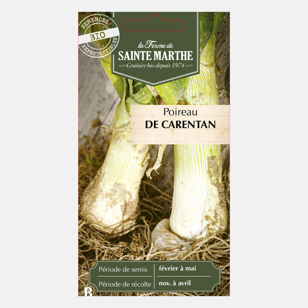 Poireau d'été 'Carentan 2' graines BIO