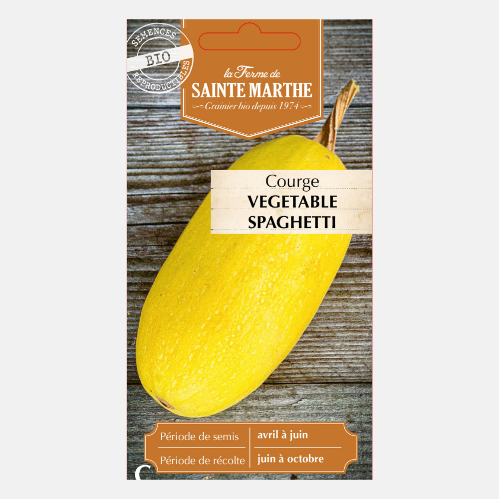 Spaghettipompoen BIO