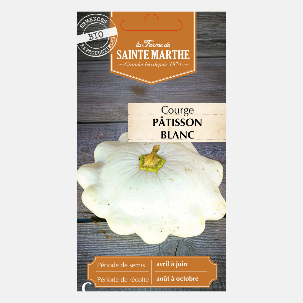 Pumpkin 'Patisson White' BIO