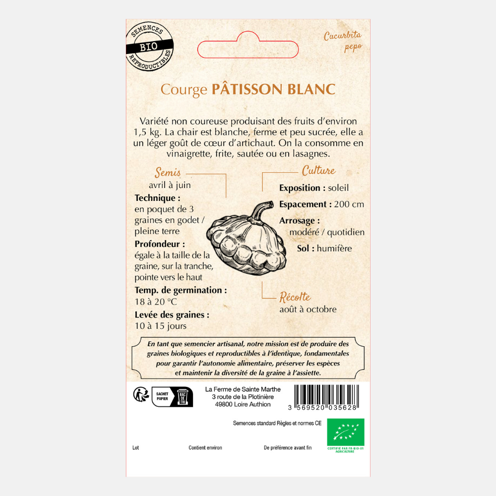 Pumpkin 'Patisson White' BIO