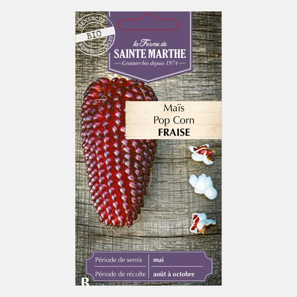 Maïs Popcorn 'Fraise' BIO