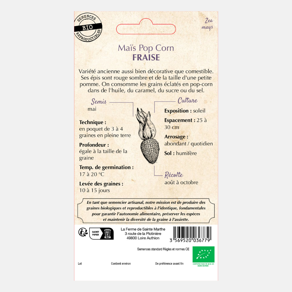 Maïs Popcorn 'Fraise' BIO