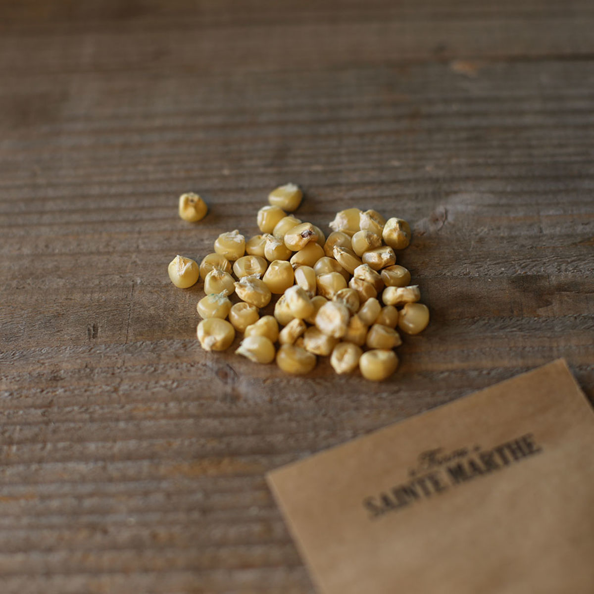 Maïs doux 'Miner' BIO