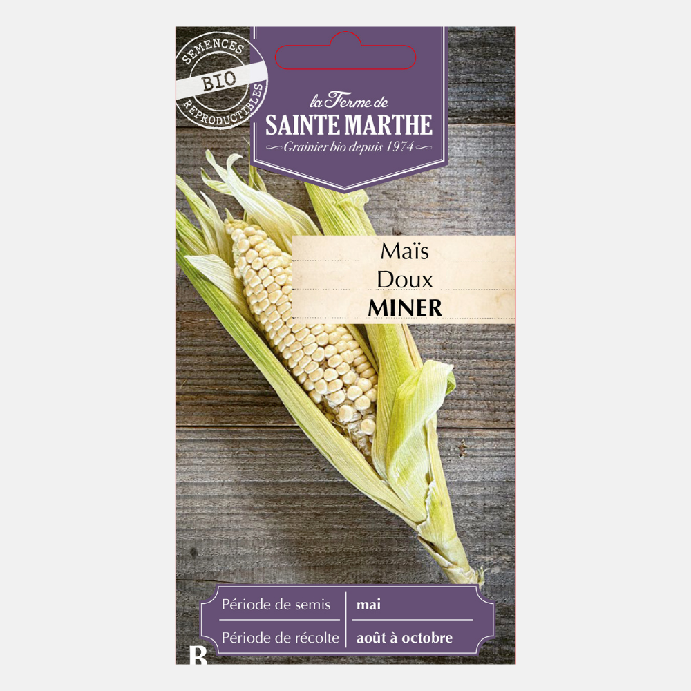 Maïs doux 'Miner' BIO