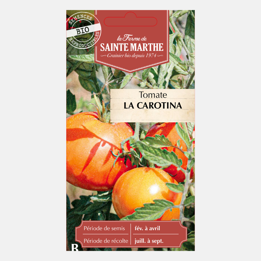 Tomaat 'La Carotina' BIO