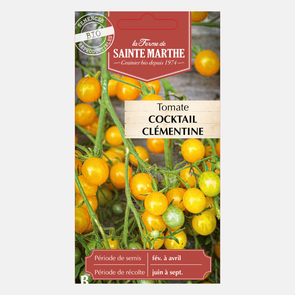 Tomaat 'Cocktail Clementine' BIO