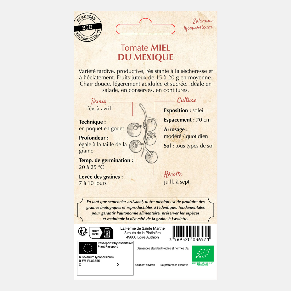 Honingtomaat 'Miel de Tomate' BIO