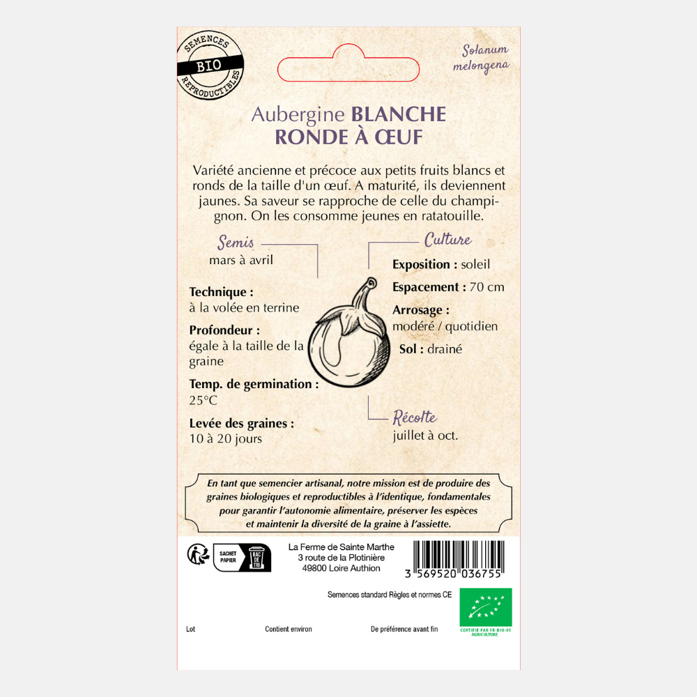 Eggplant for pot 'Blancheronde a oeufs' BIO