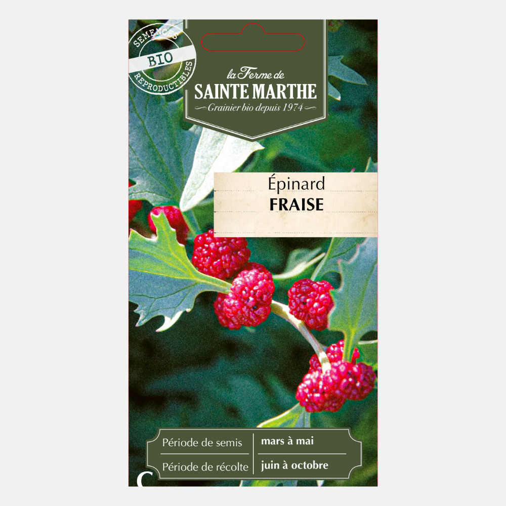 Strawberry spinach BIO