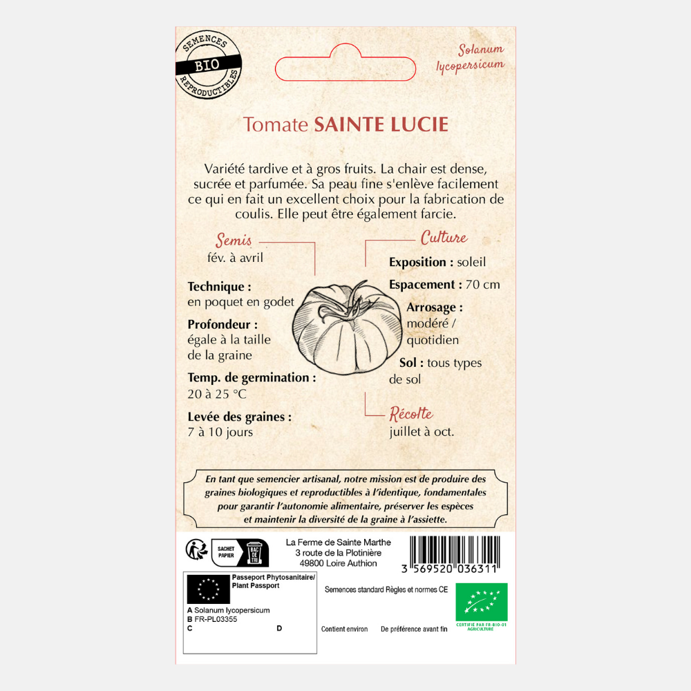 Tomaat 'Sainte Lucie' BIO
