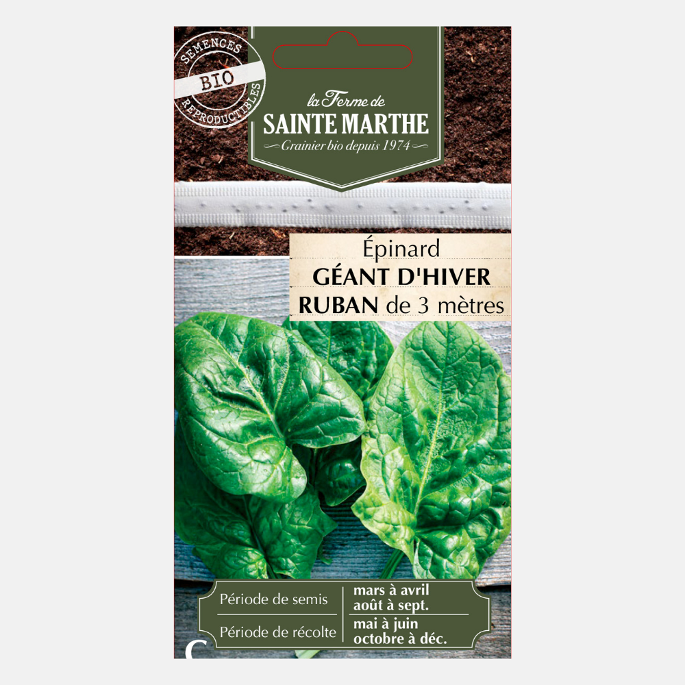 Ruban de graines d'épinard d'hiver BIO