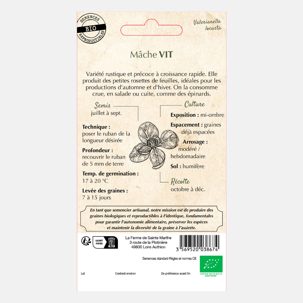 Ruban de graines de mâche 'Vit' BIO