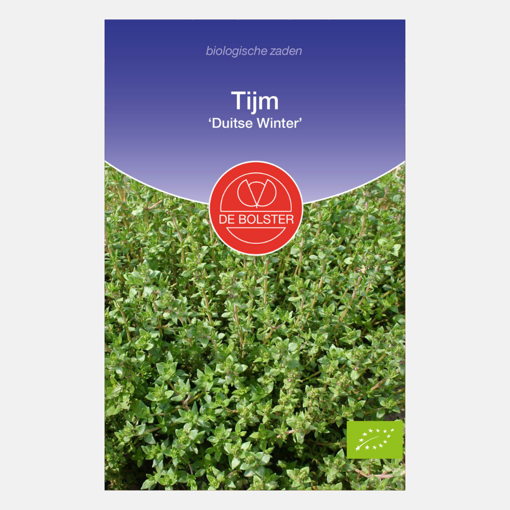 Thyme 'German Winter' BIO
