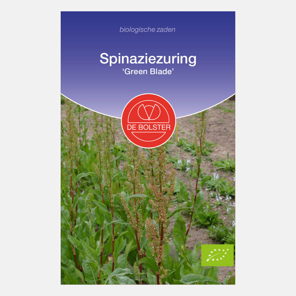 Spinach sorrel 'Green Blade' BIO