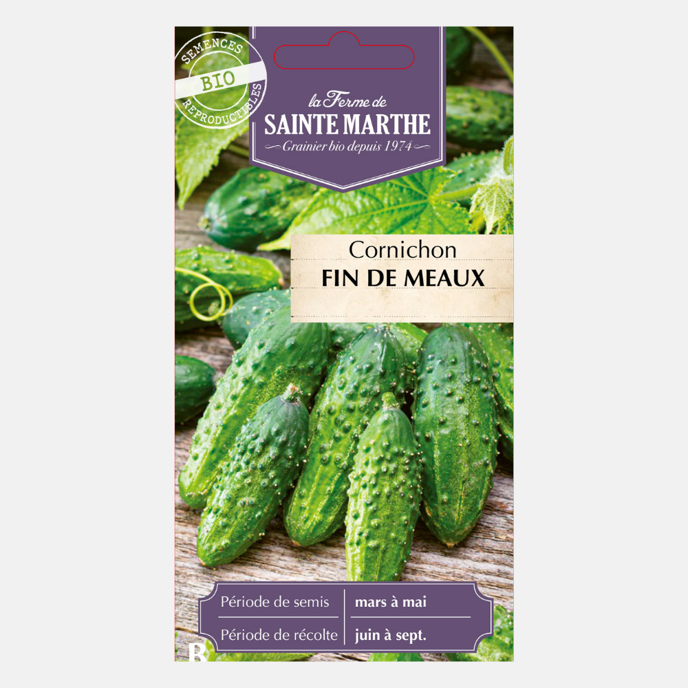 Cornichon 'Fin de Meaux' BIO