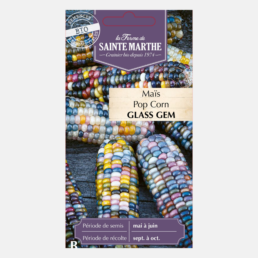 Maïs soufflé 'Glass Gem' BIO