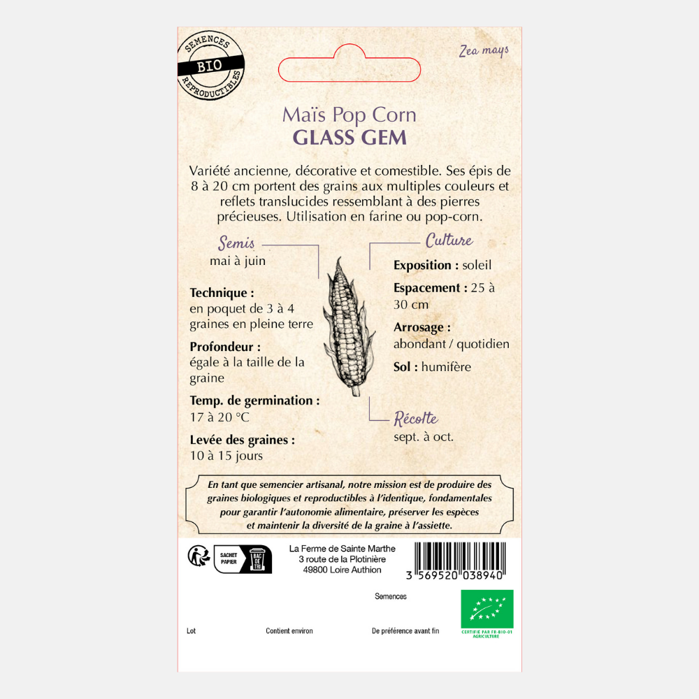 Maïs soufflé 'Glass Gem' BIO