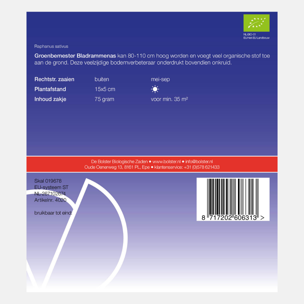 Fodder radish - Green manure BIO